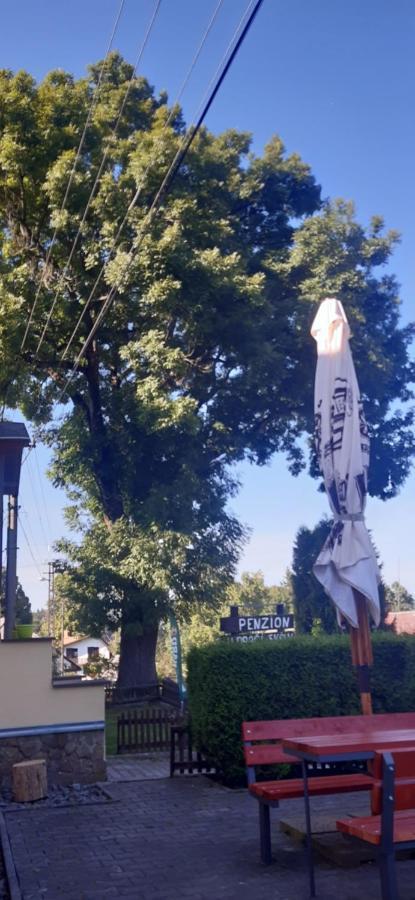 Svojse Penzion U Draci Skaly酒店 外观 照片