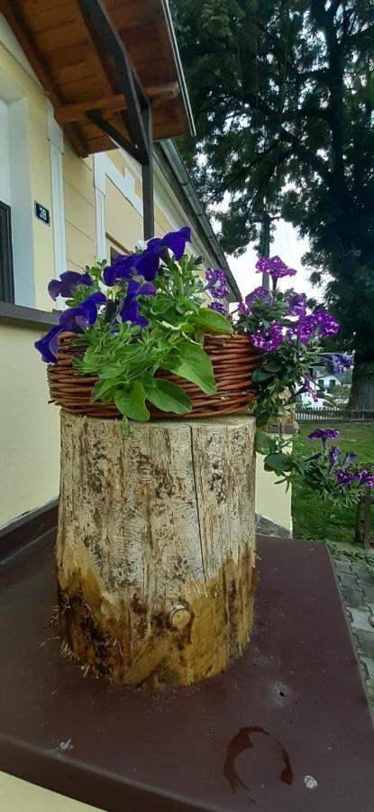 Svojse Penzion U Draci Skaly酒店 外观 照片